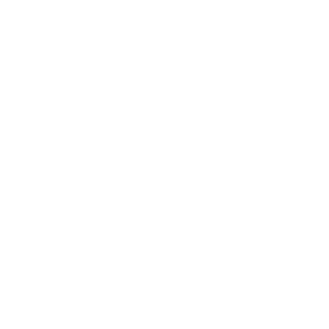 systems white 1024x1024 1